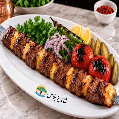 کباب لقمه نگین دار شاندیز پلاس