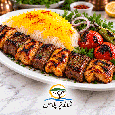کباب بختیاری مخصوص شاندیز پلاس