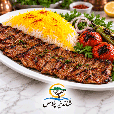 کباب برگ مخصوص شاندیز پلاس