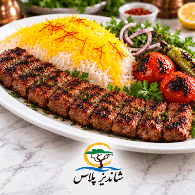 کباب لقمه مخصوص شاندیز پلاس