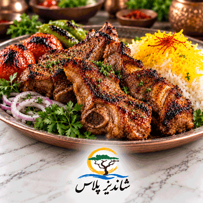 گردن مخصوص شاندیز پلاس